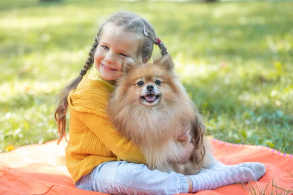 Uma Menina Cachorro Spitz Uma Criança Parque Grama Lado Uma — Fotografia de Stock