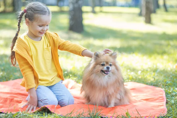 Uma Menina Cachorro Spitz Uma Criança Parque Grama Lado Uma — Fotografia de Stock