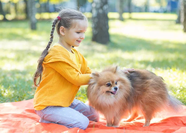 Uma Menina Cachorro Spitz Uma Criança Parque Grama Lado Uma — Fotografia de Stock