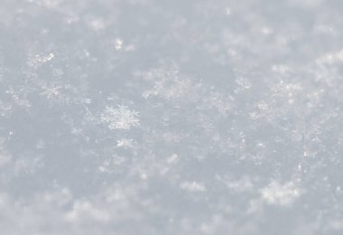 Huzurlu manzara, kar tanelerinin yüzeyde ışıl ışıl bir desen oluşturduğu bir buz örtüsü sergiliyor. Ocak ayının soğuğu doğanın sanatının sessiz güzelliğini artırıyor..