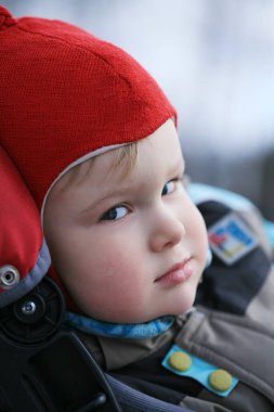 Parlak gözlü ve sıcak kırmızı şapkalı küçük bir çocuk bebek arabasında rahat bir şekilde oturur, düşünceli bir şekilde dünyaya bakar. Soğuk hava kışın geldiğini ima ediyor, sıcak bir ortam yaratıyor..