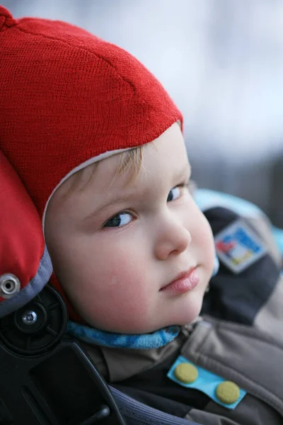 Parlak gözlü ve sıcak kırmızı şapkalı küçük bir çocuk bebek arabasında rahat bir şekilde oturur, düşünceli bir şekilde dünyaya bakar. Soğuk hava kışın geldiğini ima ediyor, sıcak bir ortam yaratıyor..