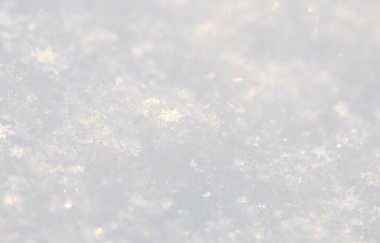 Kar taneleri hassas bir şekilde toprağı örtüyor ve manzarayı bir kış cennetine dönüştürüyor. Tatil kutlamaları yaklaştıkça sahne sevinç ve beklenti hissi uyandırıyor..