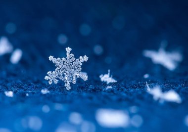 Kar taneleri yavaşça düşer ve dokulu mavi bir yüzeye yerleşerek sakin bir kış manzarası yaratır. Her bir pulun eşsiz desenleri var. Soğuk havanın atmosferinde donmanın büyüsünü yakalıyorlar..