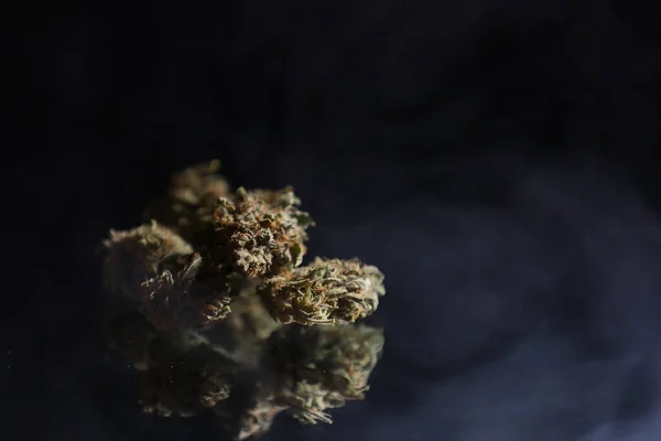 Cannabis Gren Och Gemensamma Svart Bakgrund Marijuana Legalisering Medicinsk Cannabis — Stockfoto