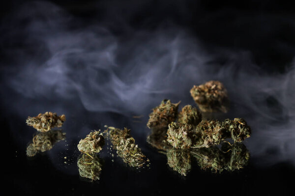 Ветка конопли и сустав в дыму на черном фоне. Легализация марихуаны. Медицинская марихуана. Наркомания.