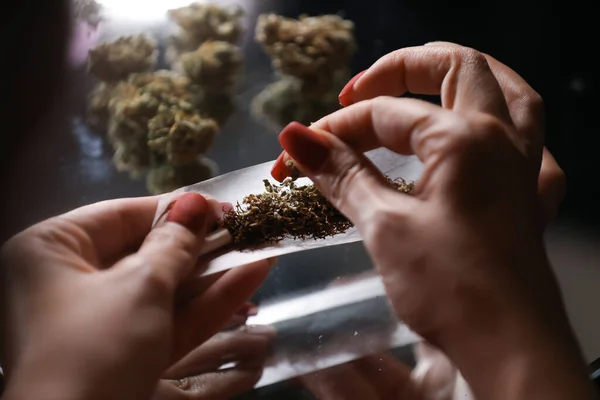 Marihuana saran kadın elleri. Esrarı gevşetmek için çevir. Marihuanayı yasallaştırma. Tıbbi kenevir. Uyuşturucu bağımlılığı.