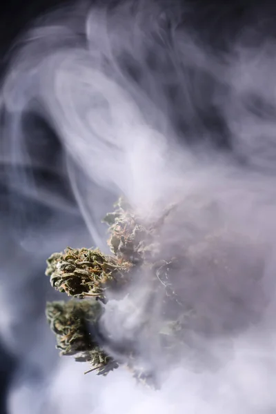 가지와 관절은 마리화나 합법화 의료용 대마초 — 스톡 사진
