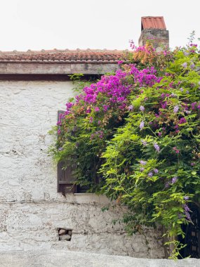 Ege Sokak Güzeli, Eski Veritabanının Çiçek Adlı Taş Evleri. Yüksek kalite fotoğraf