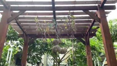 Sarmaşıklarla kaplı ahşap pergola ve rüzgarda sallanan bambu fenerler..