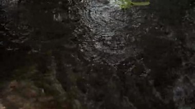 Su birikintisi zemininde şiddetli tropikal yağmur fırtınası, dinamik yağmur damlaları. Güçlü hava elementi yağmurun yoğun gerçekçiliğini gösteriyor.