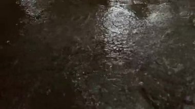 Su birikintisi zemininde şiddetli tropikal yağmur fırtınası, dinamik yağmur damlaları. Güçlü hava elementi yağmurun yoğun gerçekçiliğini gösteriyor.