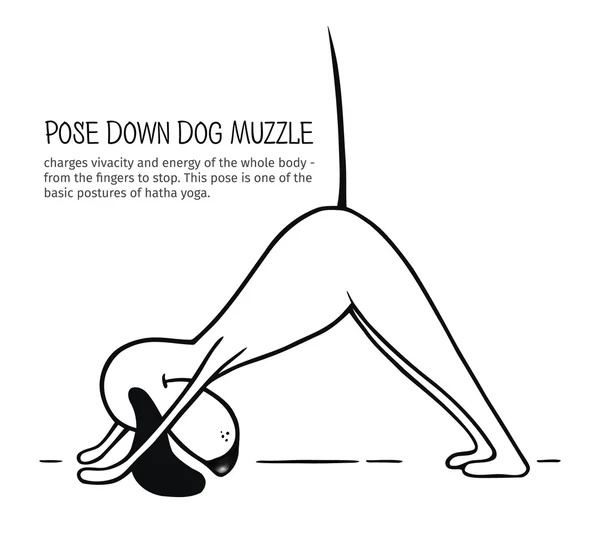 I cani dei cartoni animati mostrano Pose Down Dog Muso. Vettore — Vettoriale Stock