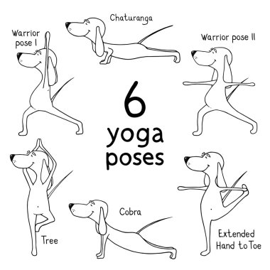 Çizgi film köpekler 6 yoga pozlar göster. Vektör