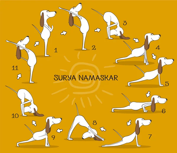 Dibujos animados perro positivo haciendo yoga posición de Surya Namaskara. San Saludo. Feliz animal. Ilustración vectorial — Vector de stock