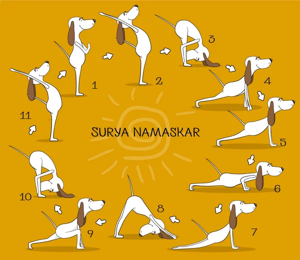 Cartone animato cane positivo facendo posizione yoga di Surya Namaskara. San Saluto. Un animale felice. Illustrazione vettoriale — Vettoriale Stock