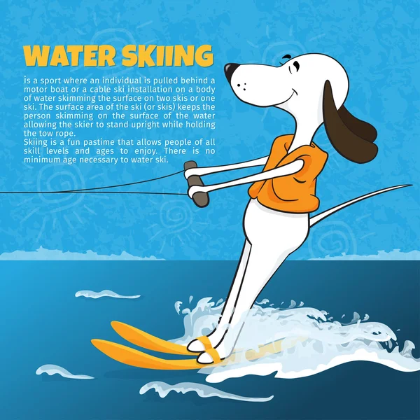 Funny cartoon dog water skiing. Happy moments. Leisure. Summer sports. Caricature. Vector illustration — Stock Vector
