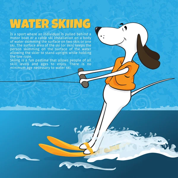 Komik karikatür köpek su kayağı. Mutlu anlar. Boş zaman. Yaz sporları. Karikatür. Vektör çizim
