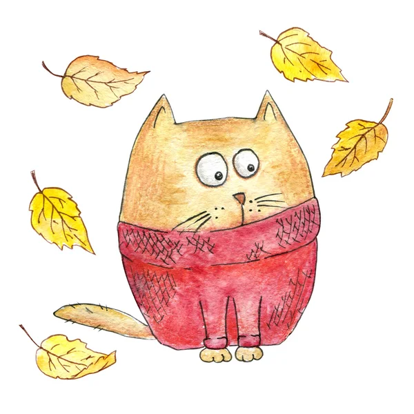 Gatto dei cartoni animati in un maglione a maglia con foglie cadute. Illustrazione d'autunno — Foto Stock