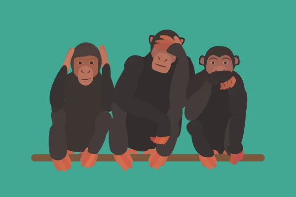 Três macacos ilustração — Vetor de Stock