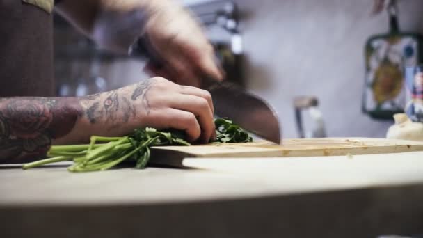 Cocinar rebanadas de perejil — Vídeos de Stock