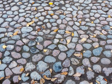 Sonbahar yaprakları olan kaldırım taşı caddesi
