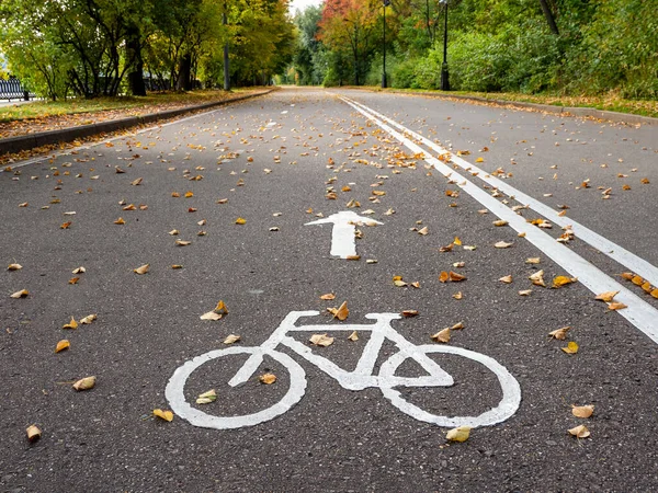 Radweg im Herbst. Markierung auf dem Asphalt. — Stockfoto