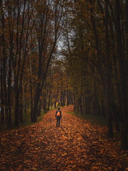 Silhouet van een vrouw van achteren in het donkere herfstbos. Vintage getint — Stockfoto