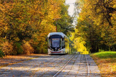 Rusya, Moskova, 30 Eylül 2020. Sonbahar tünelinde tramvay yolculuğu. Moskova 'daki sarı sonbahar ağaçlarının koridorundaki tramvay rayları.