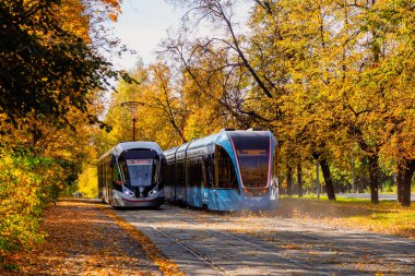 Rusya, Moskova, 30 Eylül 2020. Sonbahar tünelinde iki tramvay yolculuğu. Moskova 'daki sarı sonbahar ağaçlarının koridorundaki tramvay rayları.