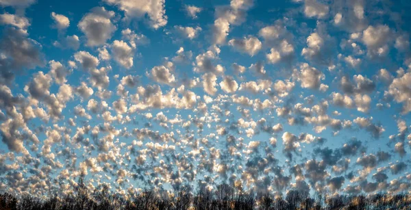 Blick Den Abendhimmel Mit Vielen Kleinen Kumuluswolken — Stockfoto