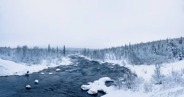 Panoramic View Wild Winter Snowy Northern Forest River Polar Day — Stock Photo, Image