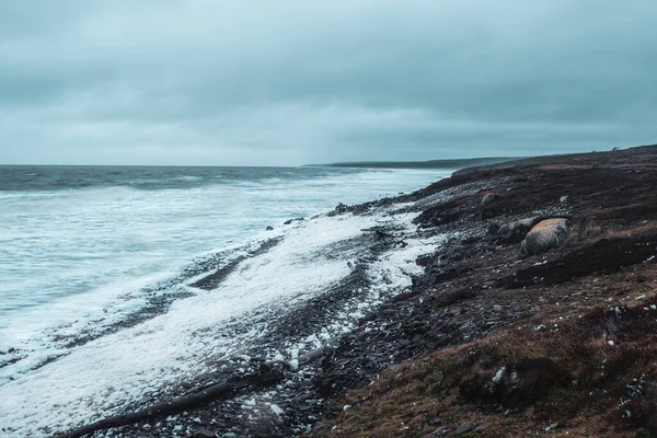 白沙滩上的风暴浪花白沫滚在岩石海岸上 极地野生景观 — 图库照片