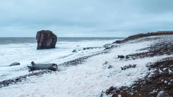 Panorâmica Paisagem Tempestuosa Com Espuma Mar Branco Costa Uma Árvore — Fotografia de Stock