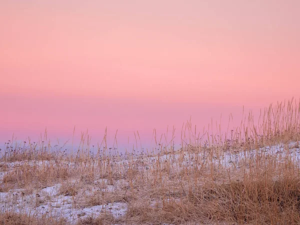 Eine Minimalistische Arktische Landschaft Mit Einer Geschwungenen Küste Mit Spärlicher — Stockfoto