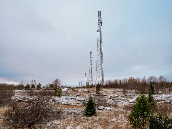 Zelltürme Der Schneebedeckten Tundra — Stockfoto