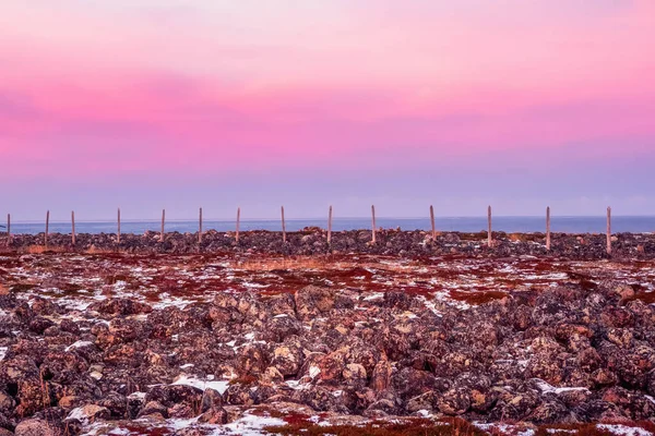 Wooden posts of the snow barrier. Mountain landscape with tundra on the Barents sea. Teriberka. Russia.