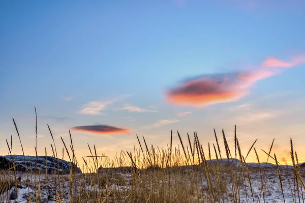Nuvole Che Sembrano Ufo Nube Lenticolare Dal Suolo Costa Artica — Foto Stock