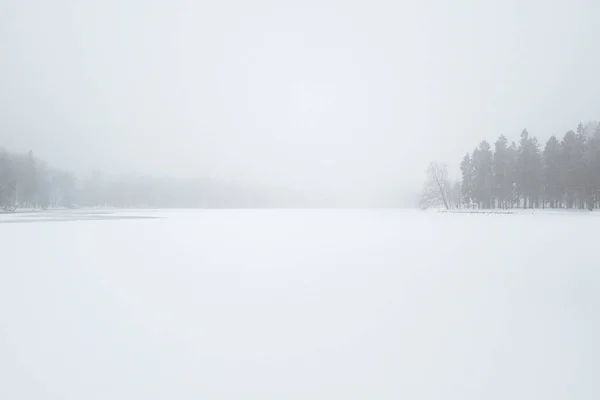 Минималистичный Зимний Пейзаж Метель Зимнем Парке Высокие Деревья Снежным Покровом — стоковое фото