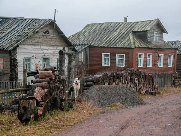 Décembre 2020 Péninsule Kola Russie Authentique Village Sur Rive Baie — Photo