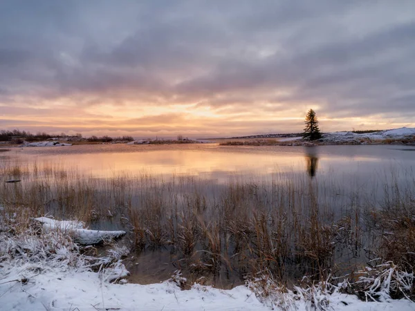 Magisk Lilla Solnedgang Med Ensomt Juletre Med Refleksjoner Vannet Den – stockfoto