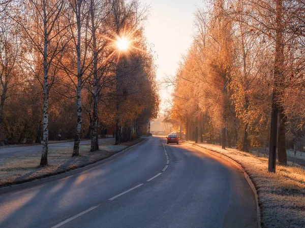 Sunny autumn road. Turn on the paved road. The street of the city in autumn sunny frosty day. Cars on autumn street. Soft focus.