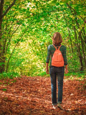Güneşli bir sonbahar ormanında pembe sırt çantalı ince bir dişi turist gezintiye çıkıyor. Seyahat konsepti. Dikey görünüm. 