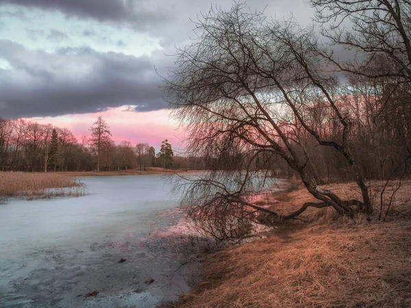 Det Pittoreske Høstlandskapet Med Dam Kveldssolnedgangslandskap Med Tre Sjøen – stockfoto