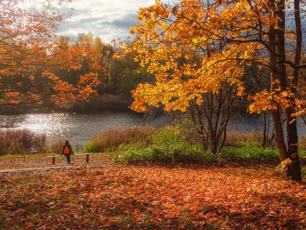 Relax in a sunny autumn park. Yellow maple tree and a bench with a silhouette of a resting people on a bright natural sunny autumn background.