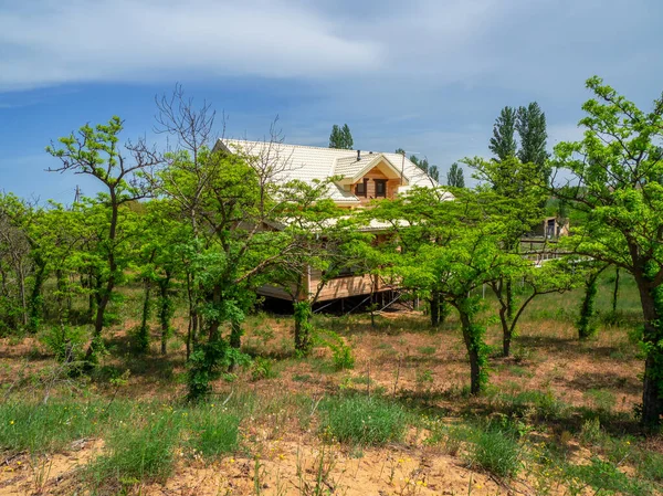 Beyaz Çatılı Misafir Evi Çöldeki Yemyeşil Otlaktaki Ahşap Kulübe Dağıstan — Stok fotoğraf