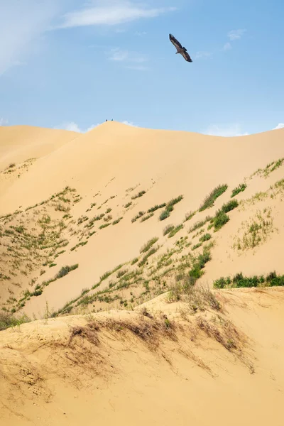 Sarykum Dune Dagestan Large Dune Small Silhouette People Walking Blue — Stock Photo, Image