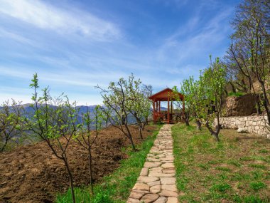 Baharda Alp Bahçesi 'ndeki ahşap çardak..