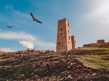 Kartallar, Dağıstan 'daki hayalet Goor' un enkaz ve kulelerinin üzerinden akşam ışığında uçarlar. Rusya.