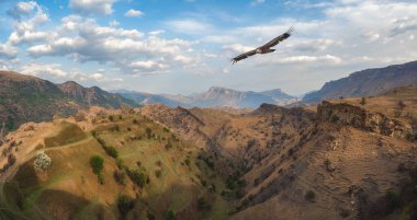 Yükselen kartallı Dağ Vadisi. Dağların arka planına uzanan ve seyrek bitki örtüsüyle kaplı kayalık bir çıkıntı. Dağıstan. Panoramik görünüm.